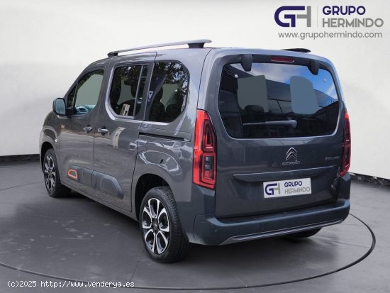 Citroën Berlingo TALLA M BLUE HDI 100 CV SHINE - Ponteareas