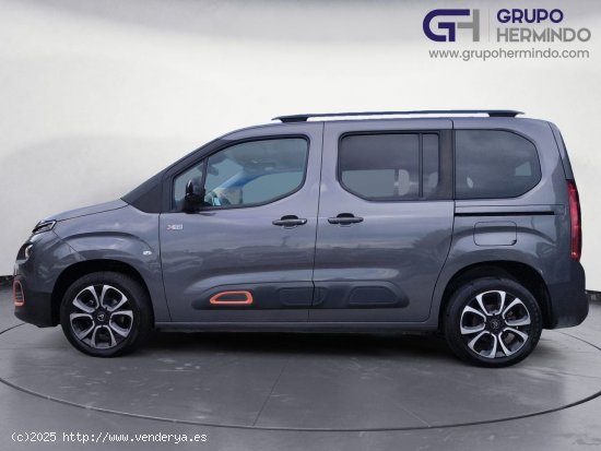 Citroën Berlingo TALLA M BLUE HDI 100 CV SHINE - Ponteareas