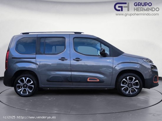 Citroën Berlingo TALLA M BLUE HDI 100 CV SHINE - Ponteareas