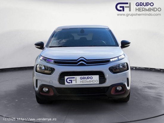 Citroën C4 Cactus BLUE HDI 100 CV SHINE - Ponteareas