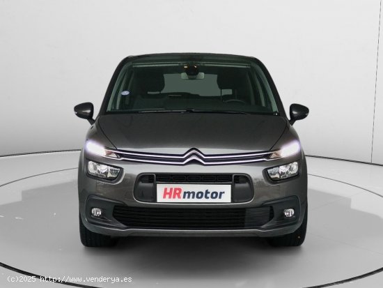 Citroën C4 Spacetourer Business - Fontellas