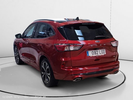 Ford Kuga Plug-In Hybrid ST-Line X - Pamplona