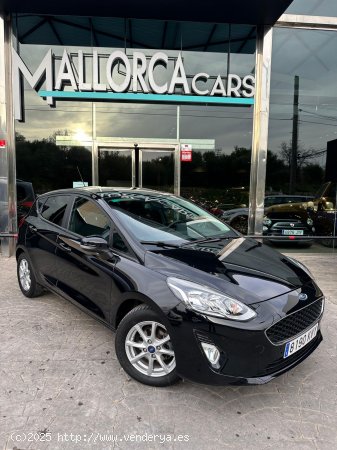 Ford Fiesta 1.1 85CV - Palma