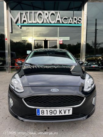 Ford Fiesta 1.1 85CV - Palma