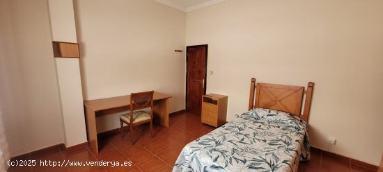  HABITACION en alquiler en Las Palmas de Gran Canaria 