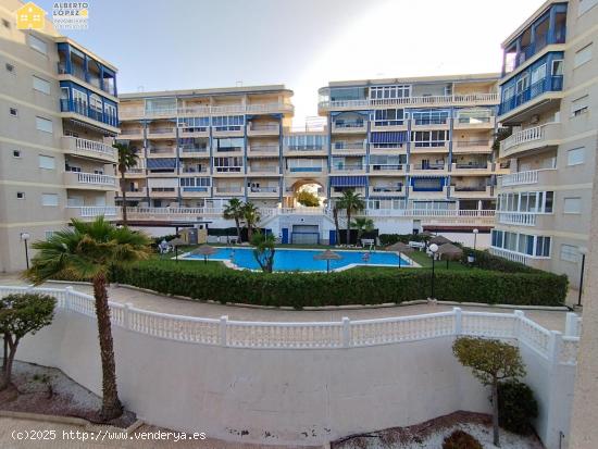 Apartamento moderno para alquiler de septiembre a junio. - ALICANTE