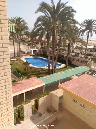  REF.- 54 - Apartamento en venta en primera línea Playa de San Juan (ALICANTE) - ALICANTE 