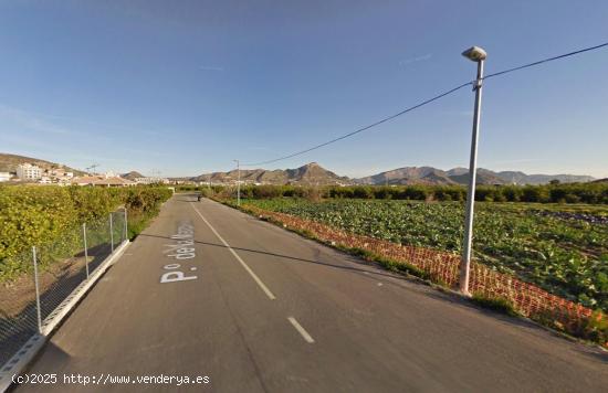  SE VENDE TERRENO RUSTICO EN EL ESPARRAGAL - MURCIA 