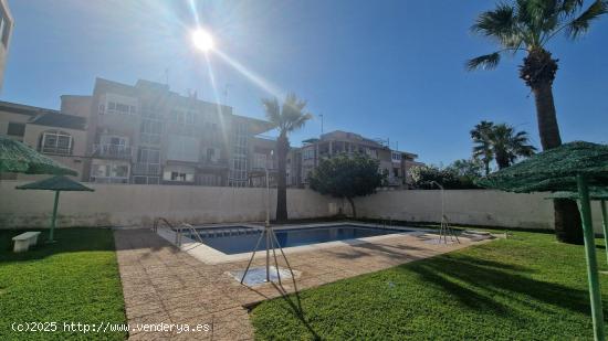  TORREVIEJA CASCO URBANO DUPLEX 2 HABS PISCINA COMUNITARIA 113.900 EUROS... - ALICANTE 