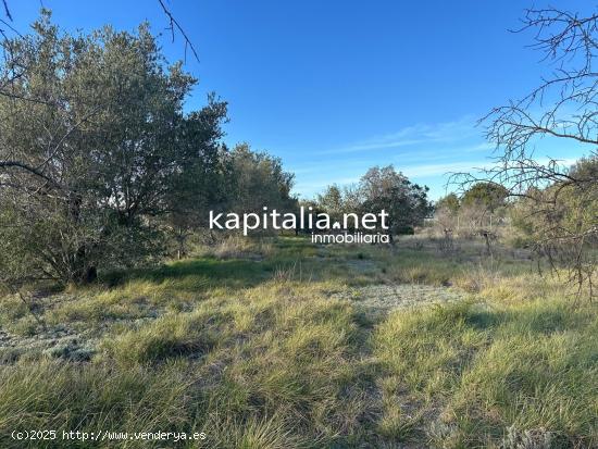  Terreno a la venta en Ontinyent - VALENCIA 