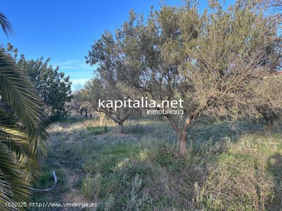 Terreno a la venta en Ontinyent - VALENCIA