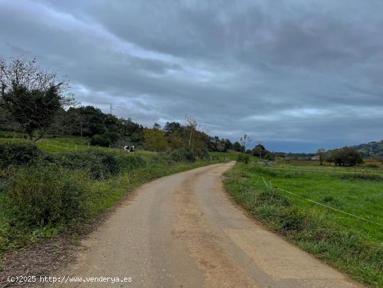 Terreno en Carasa: el espacio perfecto para construir el hogar de tus sueños - CANTABRIA