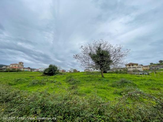 Terreno en Carasa: el espacio perfecto para construir el hogar de tus sueños - CANTABRIA