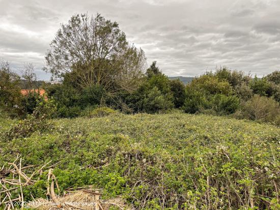 Se Vende en Voto - CANTABRIA