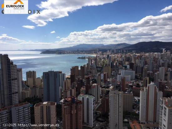 Apto para todo el año en Torre Lugano , Benidorm.www.euroloix.com - ALICANTE