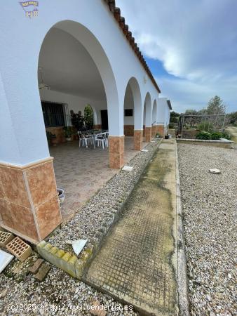  FINCA EN VENTA POR LA ZONA DEL ROMERAL - CADIZ 