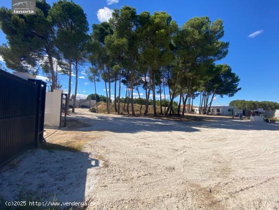 Grupo la Noria VENDE parcela REFORMADA en Albacete. Vereda Jaen (Huerto urbano Los Mirlos 2) - ALBAC