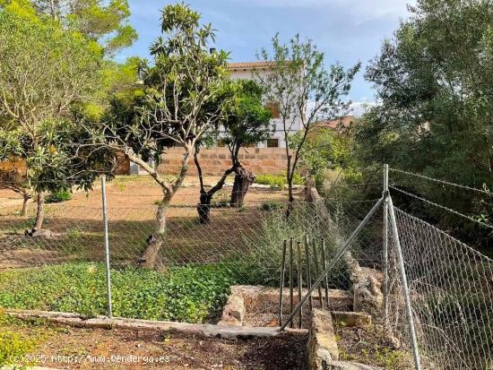 CASA A REFORMAR EN EL CENTRO DEL PUEBLO DE ARIANY - BALEARES