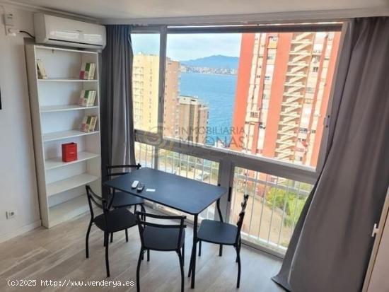 Exclusivo Apartamento en Benidorm – Zona Rincón de Loix - ALICANTE