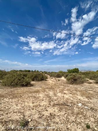 QUIERES CONSTRUIR TU CHALET A CINCO MINUTOS DE LA CIUDAD? - ALICANTE