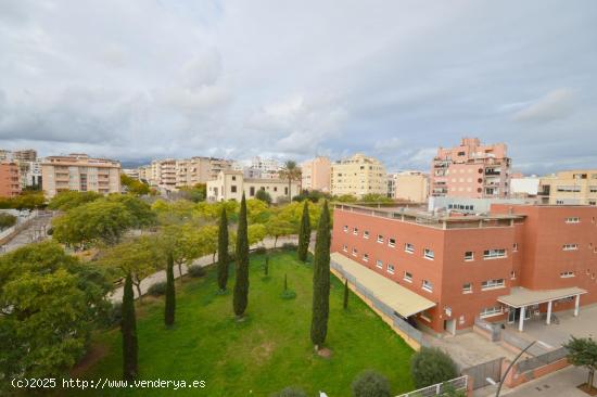  AMPLIO PISO EN SON DAMETO - BALEARES 