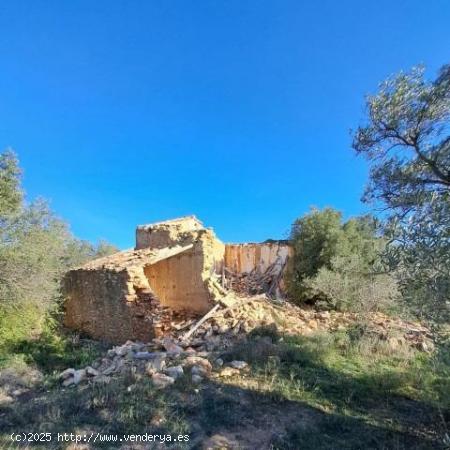  Se Vende en Tortosa - TARRAGONA 