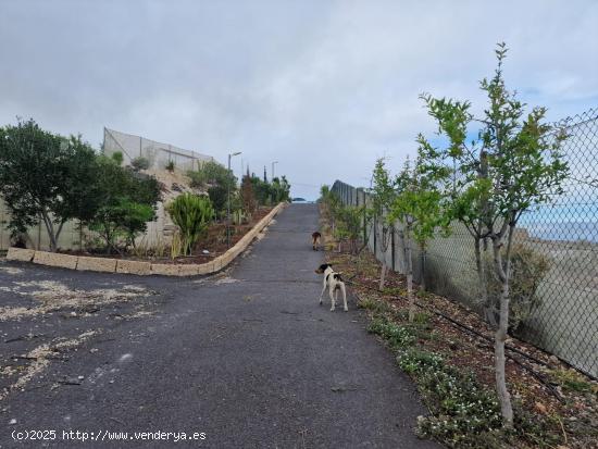 MAGNIFICA FINCA FASNIA - SANTA CRUZ DE TENERIFE