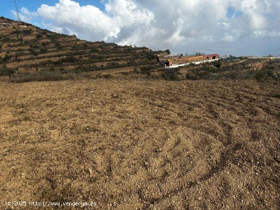 TERRENO RUSTICO EN LA MEDIDA - SANTA CRUZ DE TENERIFE