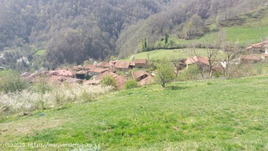 Venta de Terreno rustico urbanizable - CANTABRIA