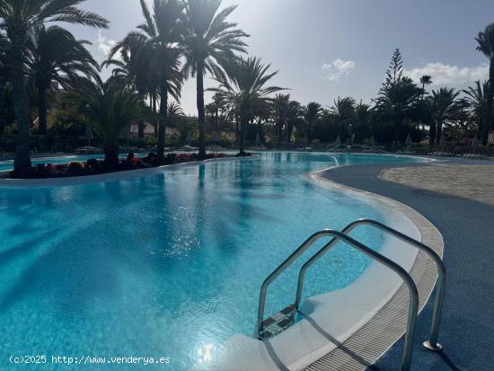 Bungalow en un jardin tropical en Playa del Ingles - LAS PALMAS