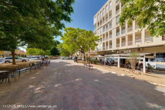 Apartamento en venta en Torrevieja (Alicante)