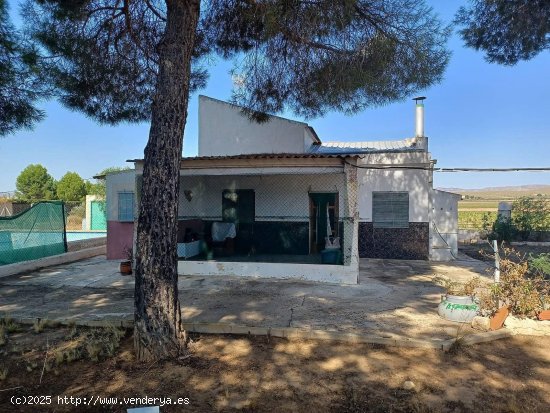  Finca en venta en Yecla (Murcia) 