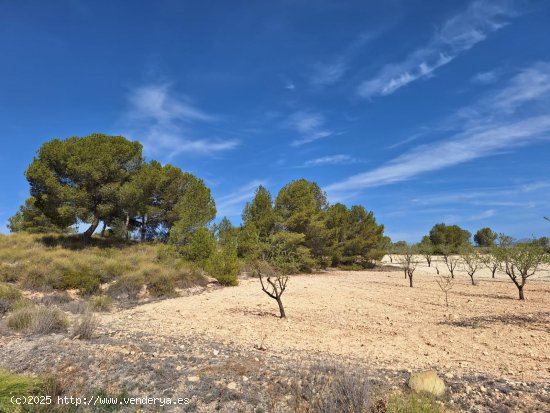 Solar en venta en Abanilla (Murcia)