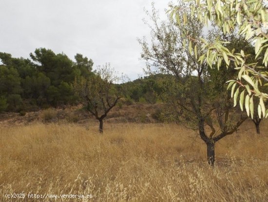 Villa en venta en Abanilla (Murcia)