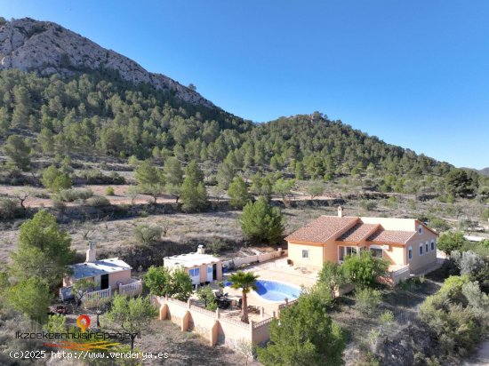  Villa en venta en Abanilla (Murcia) 