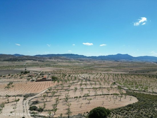  Solar en venta en Jumilla (Murcia) 