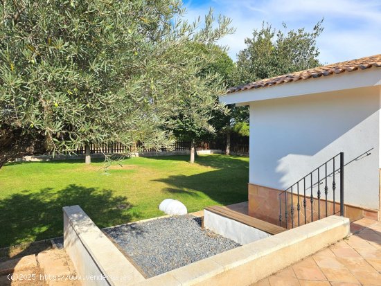 Finca en venta en Yecla (Murcia)