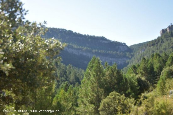 Finca en venta en Beceite (Teruel)