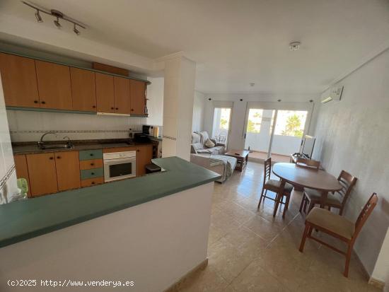  GRAN APARTAMENTO EN ORIHUELA COSTA (VILLAMARTIN), 2 HAB, 1 BAÑOS - ALICANTE 