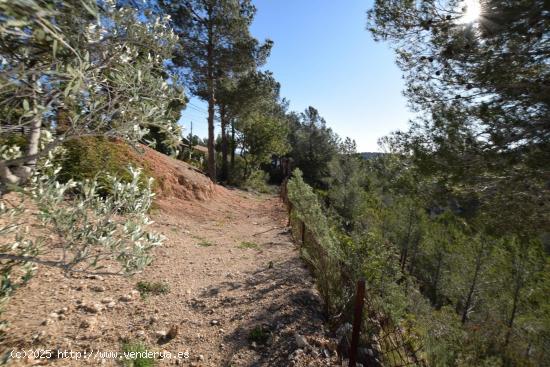 Parcela Urbana en Planes de Rei. - TARRAGONA