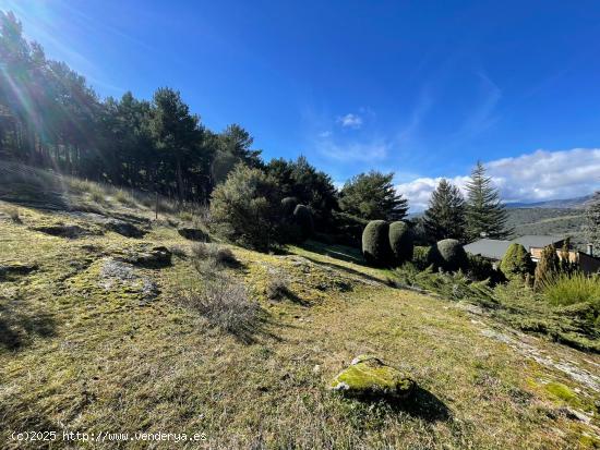 🌲 ¡Haz realidad tu sueño de vivir en plena naturaleza! 🌲 - MADRID