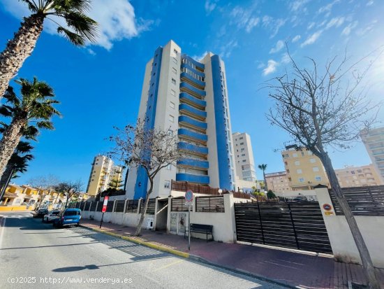  Apartamento en venta en Guardamar del Segura (Alicante) 