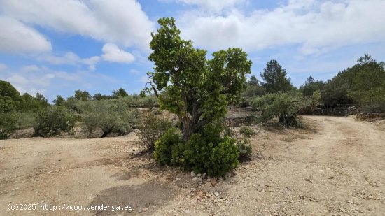 Finca en venta en L Ametlla de Mar (Tarragona)