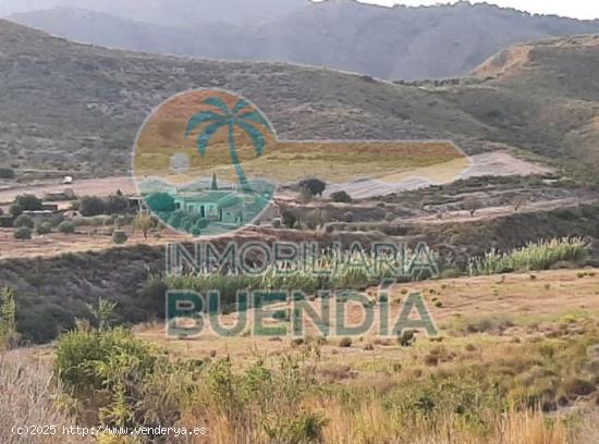  TERRENO RÚSTICO LLANO Y CON BUEN ACCESO EN VALDELENTISCO MAZARRON EN VENTA - MURCIA 