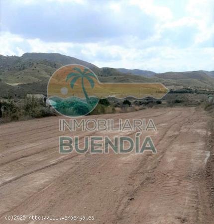 TERRENO RÚSTICO LLANO Y CON BUEN ACCESO EN VALDELENTISCO MAZARRON EN VENTA - MURCIA