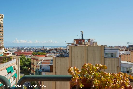 Piso en alquiler en Esplugues de Llobregat (Barcelona)