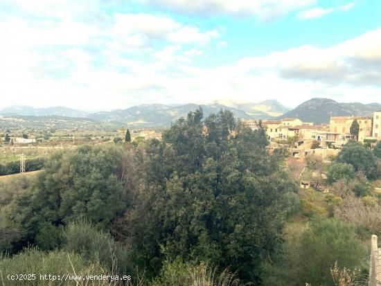 Solar urbano con vistas a la Serra de Tramuntana - BALEARES