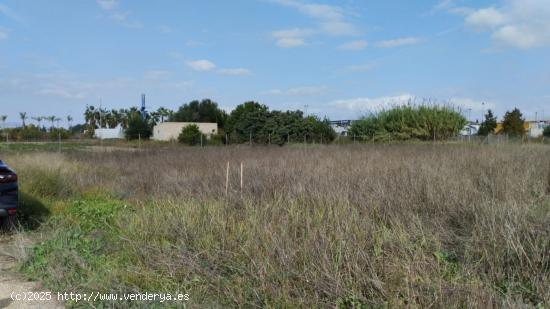  Parcela- Paraje la hijuela (Molina de Segura) - MURCIA 