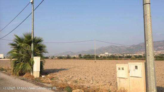 SE VENDE PARCELA  5000 mt2 URBANA  EN LA HOYA-LORCA CON LUZ - MURCIA