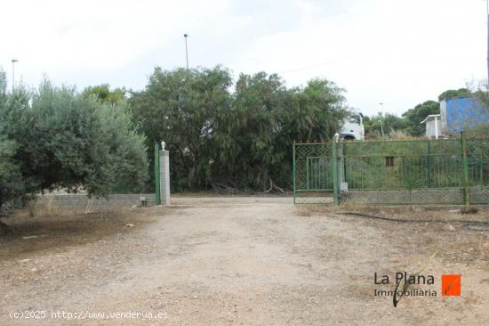 FINCA RUSTICA DE OLIVOS EN VENTA EN LA ALDEA (TARRAGONA) - TARRAGONA